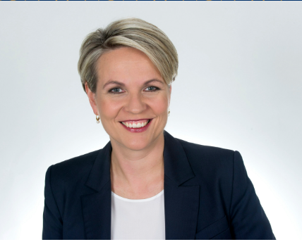 Tanya Plibersek MP, an Australian politician, standing confidently with a warm smile.