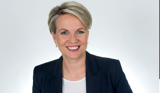 Tanya Plibersek MP, an Australian politician, standing confidently with a warm smile.