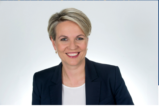 Tanya Plibersek MP, an Australian politician, standing confidently with a warm smile.