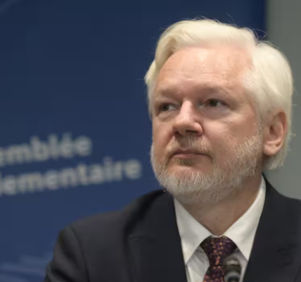 Julian Assange testified about his detention and conviction at the Parliamentary Assembly of the Council of Europe in Strasbourg.