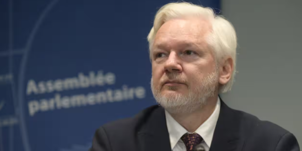 Julian Assange testified about his detention and conviction at the Parliamentary Assembly of the Council of Europe in Strasbourg.